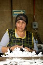 16112024polvorones202433.jpg