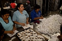 16112024polvorones2024343.jpg