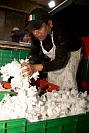 16112024polvorones202459.jpg
