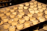 16112024polvorones202489.jpg