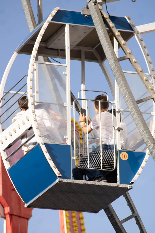 Ir a la Siguiente Foto