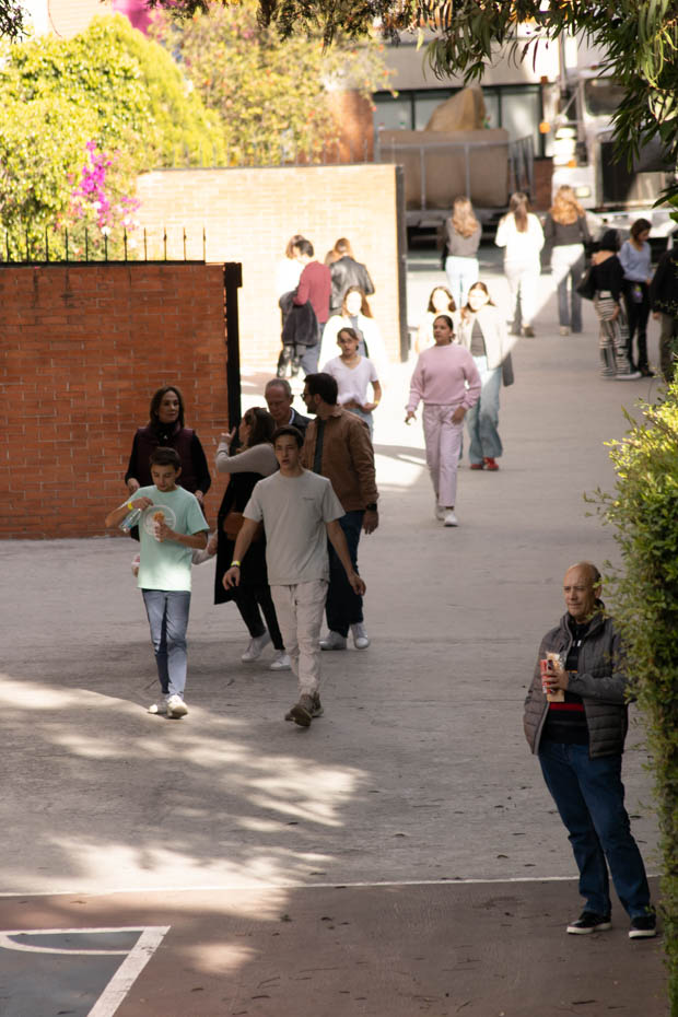 Ir a la Siguiente Foto