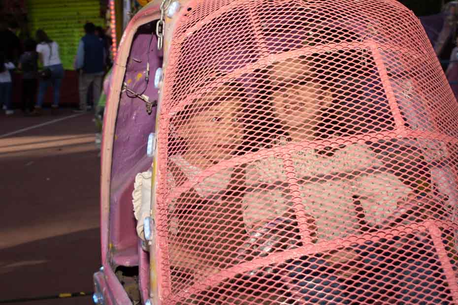 Ir a la Siguiente Foto