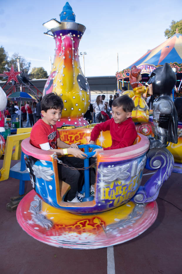 Ir a la Siguiente Foto