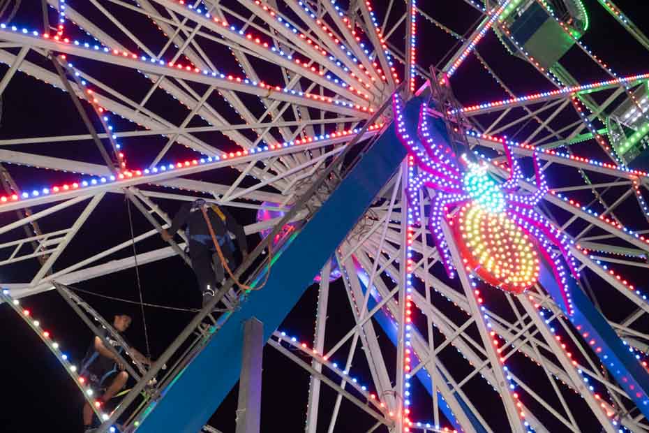 Ir a la Siguiente Foto