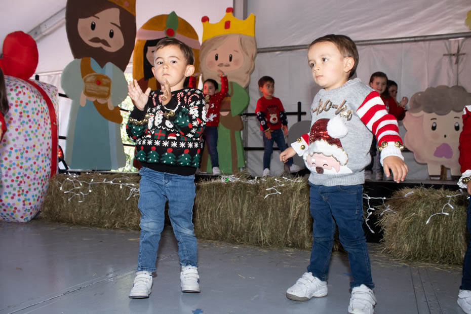 Ir a la Siguiente Foto