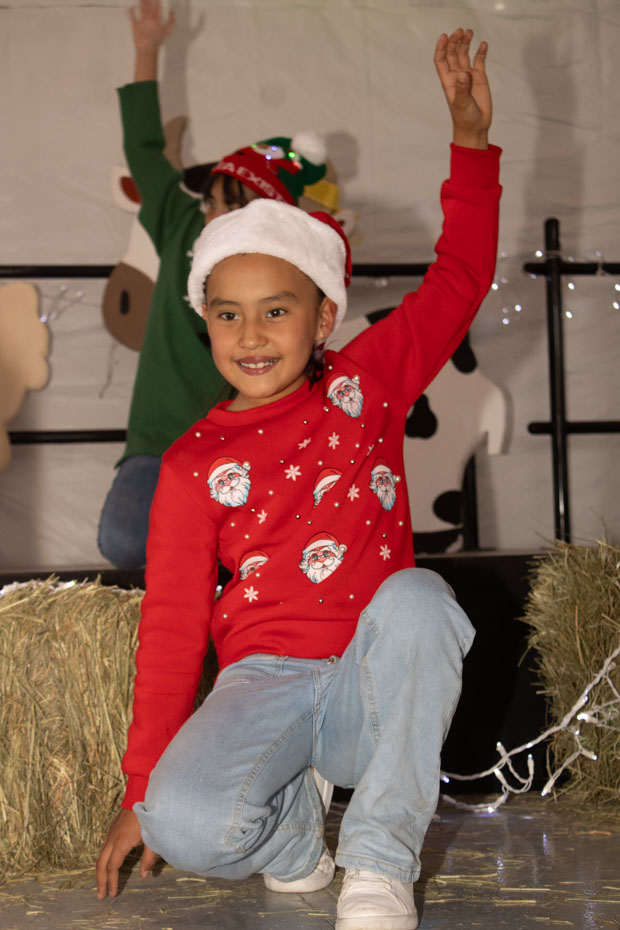 Ir a la Siguiente Foto