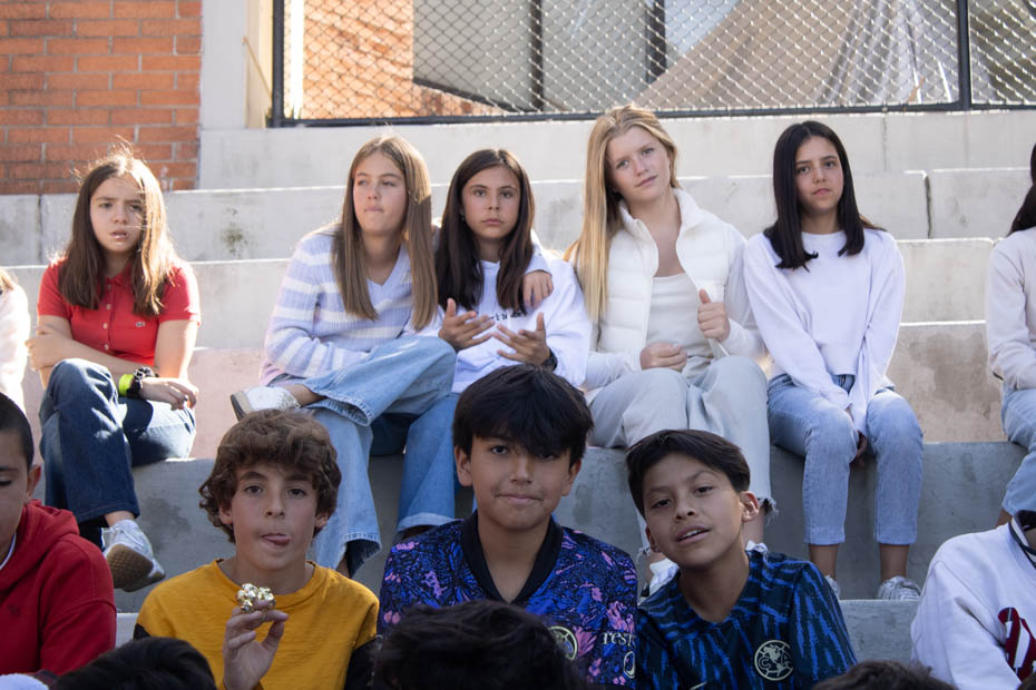 Ir a la Siguiente Foto