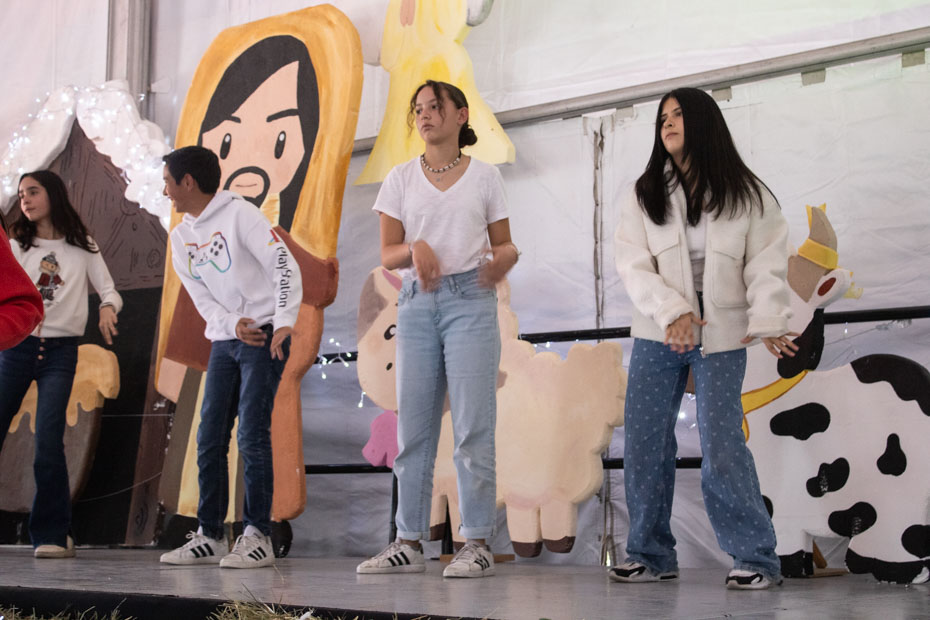 Ir a la Siguiente Foto