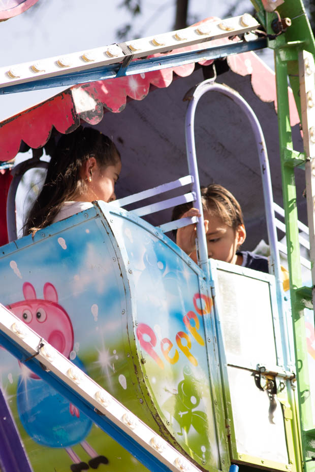 Ir a la Siguiente Foto