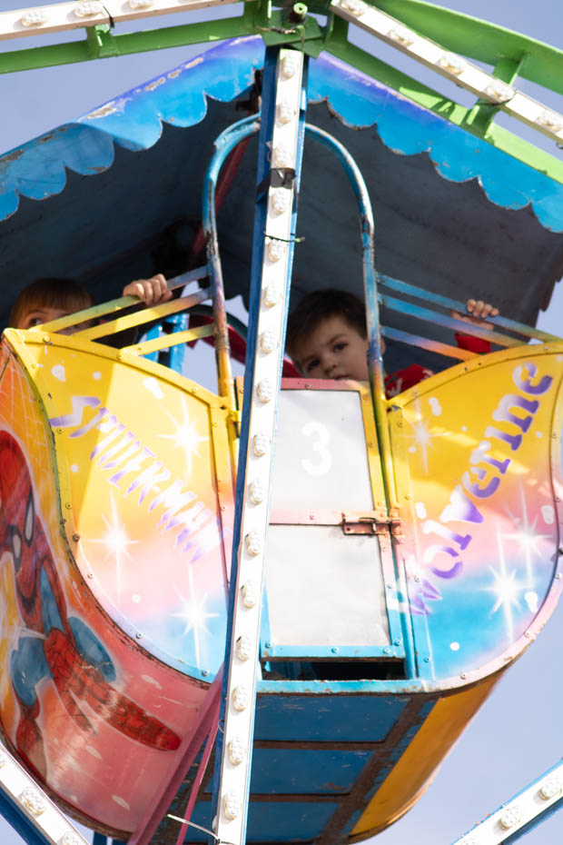 Ir a la Siguiente Foto