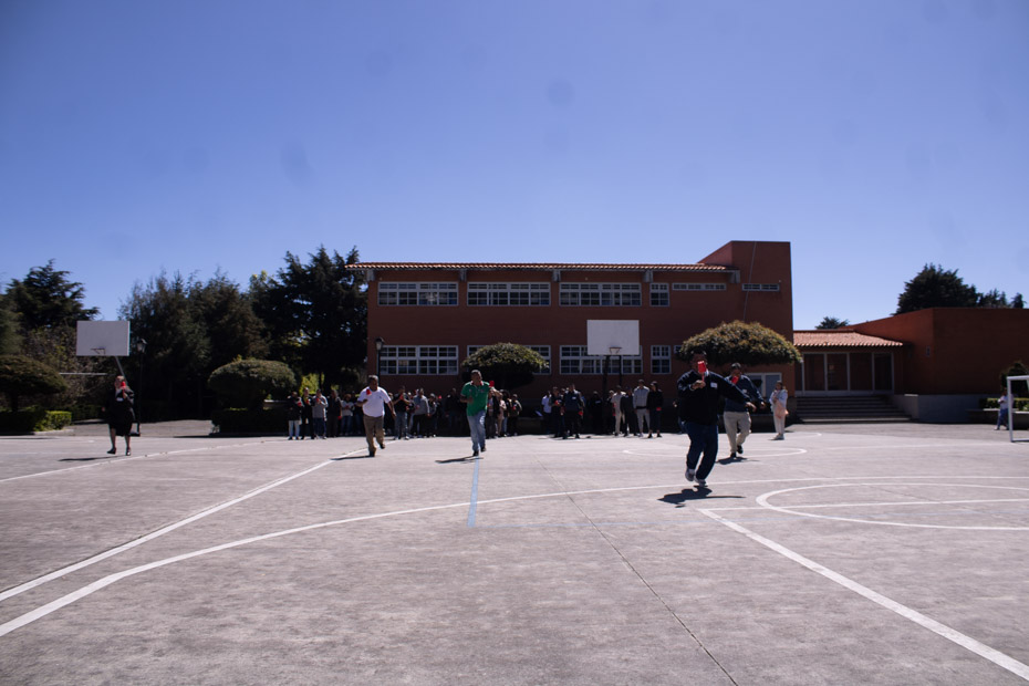 Ir a la Siguiente Foto