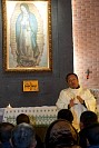 23112024IMG_6479.jpg