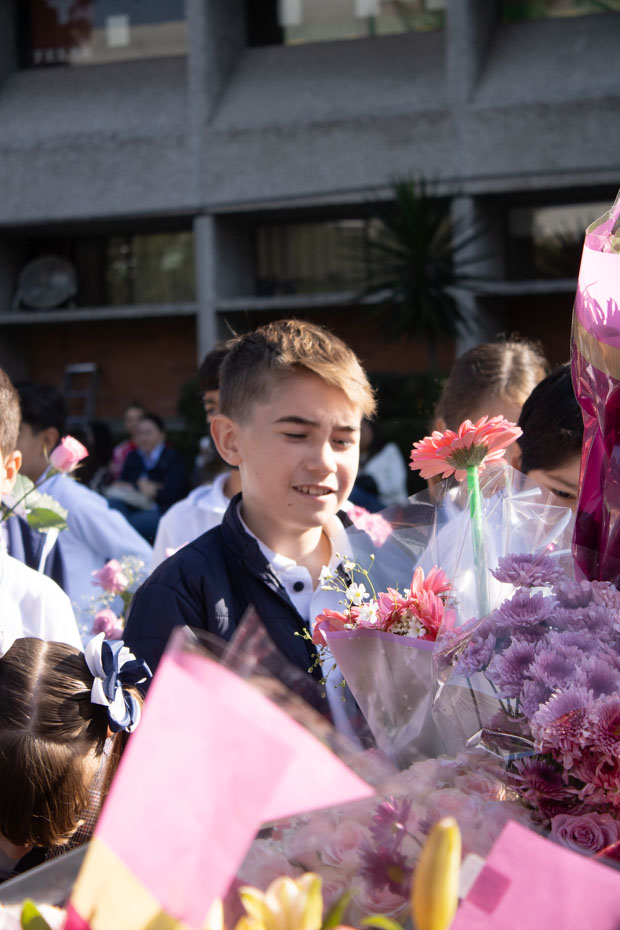 Ir a la Siguiente Foto