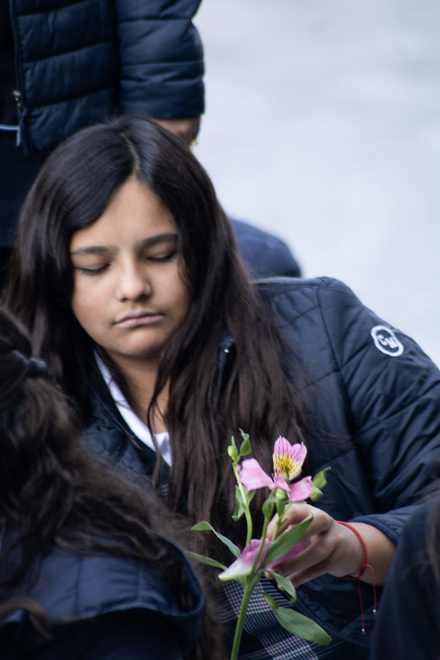 Ir a la Siguiente Foto
