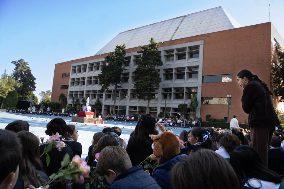 Ir a la Siguiente Foto