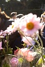 30102024rosario_misionero_primaria2024127.jpg