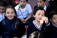 30102024rosario_misionero_primaria202432.jpg