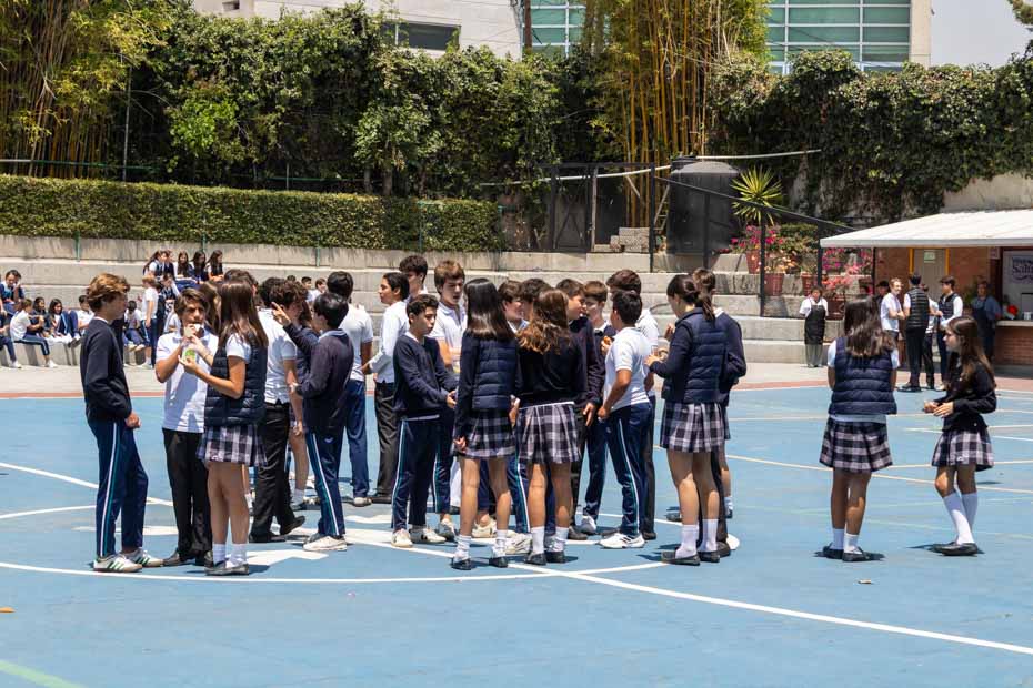 Ir a la Siguiente Foto