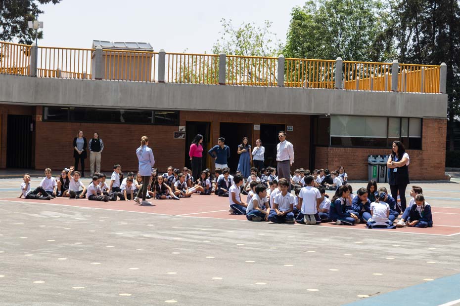 Ir a la Siguiente Foto
