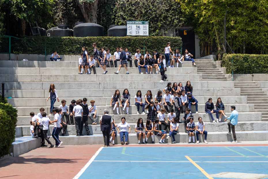 Ir a la Siguiente Foto