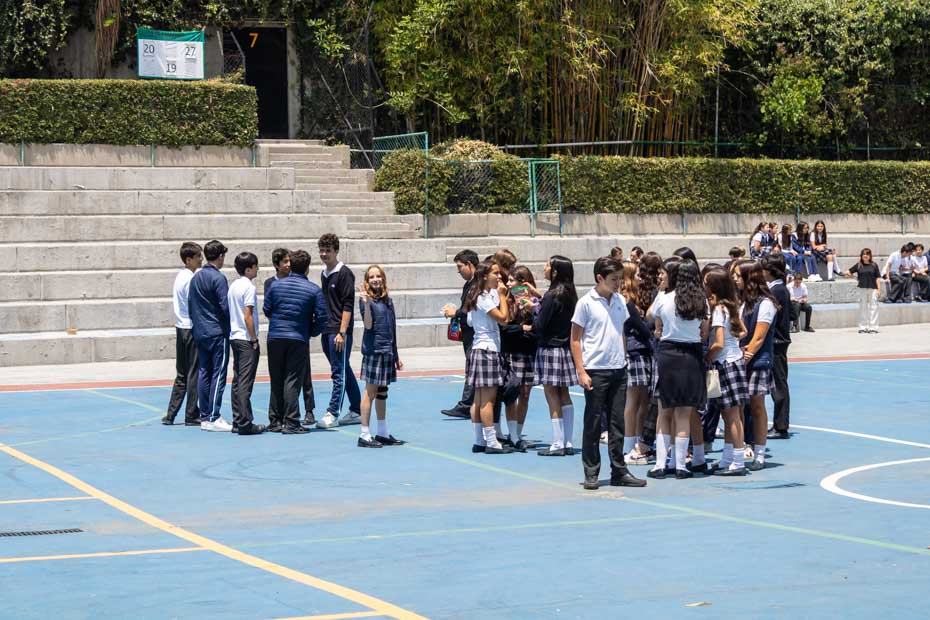 Ir a la Siguiente Foto