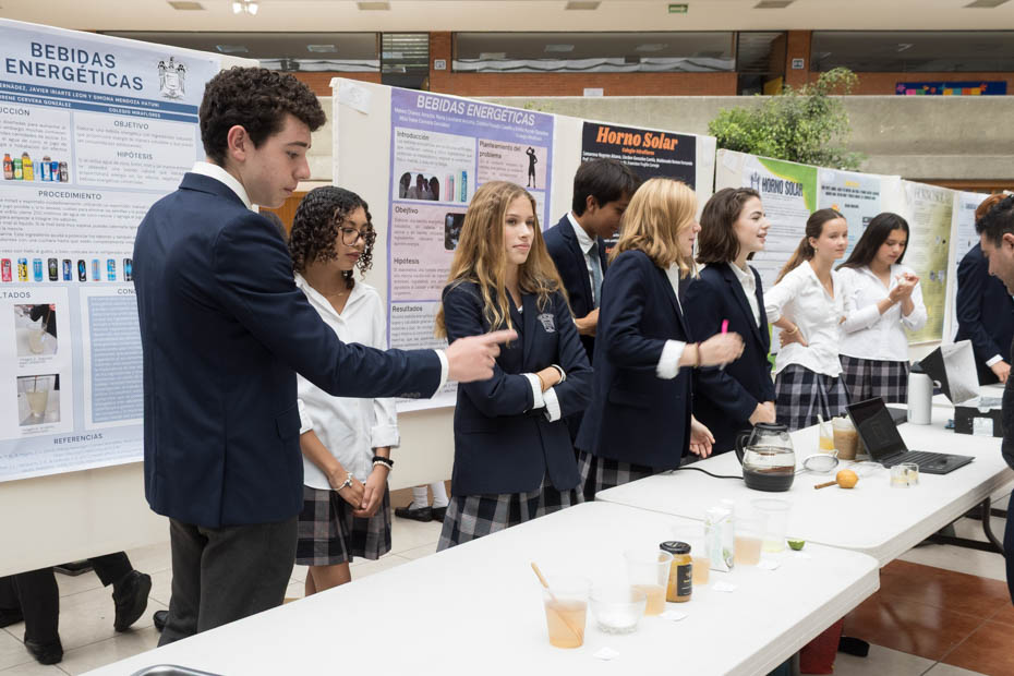 Ir a la Siguiente Foto