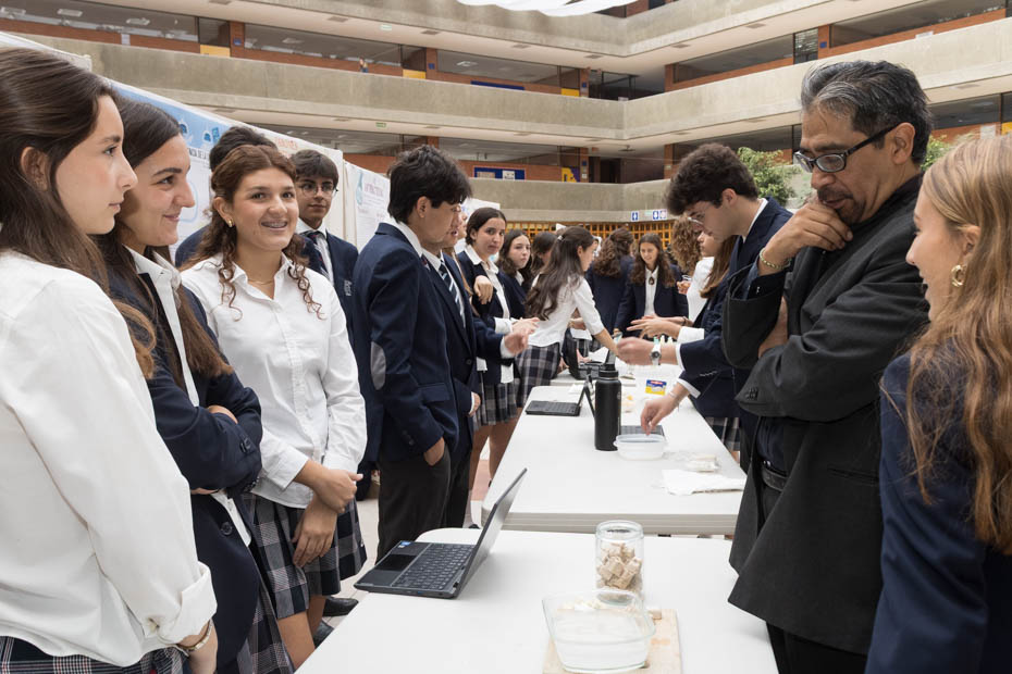 Ir a la Siguiente Foto