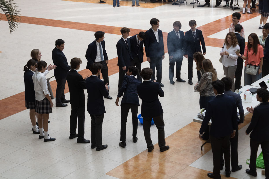 Ir a la Siguiente Foto