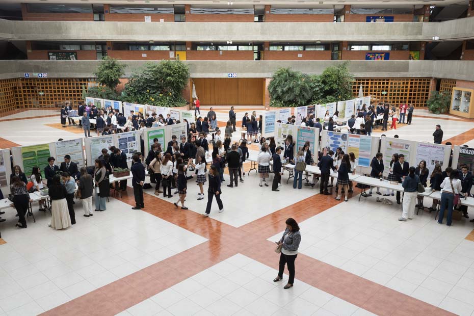 Ir a la Siguiente Foto