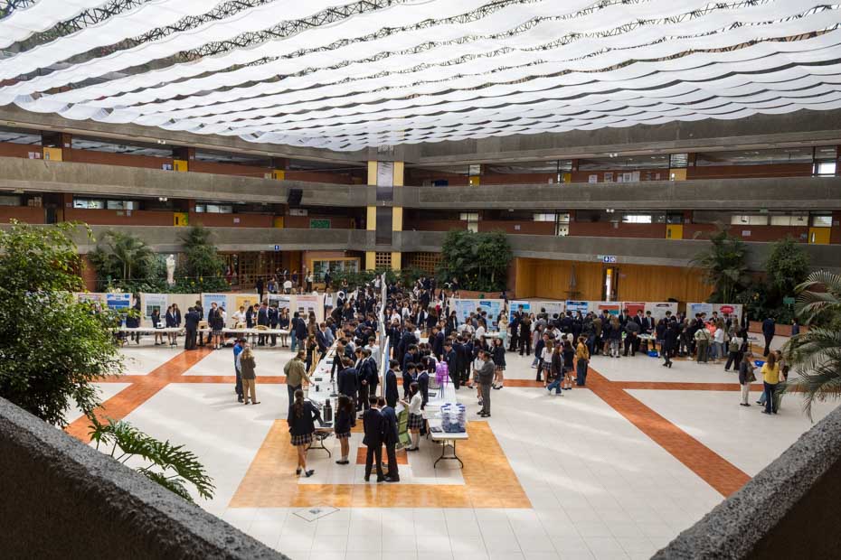 Ir a la Siguiente Foto