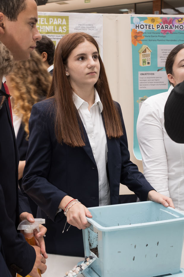 Ir a la Siguiente Foto