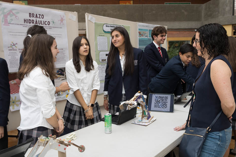 Ir a la Siguiente Foto