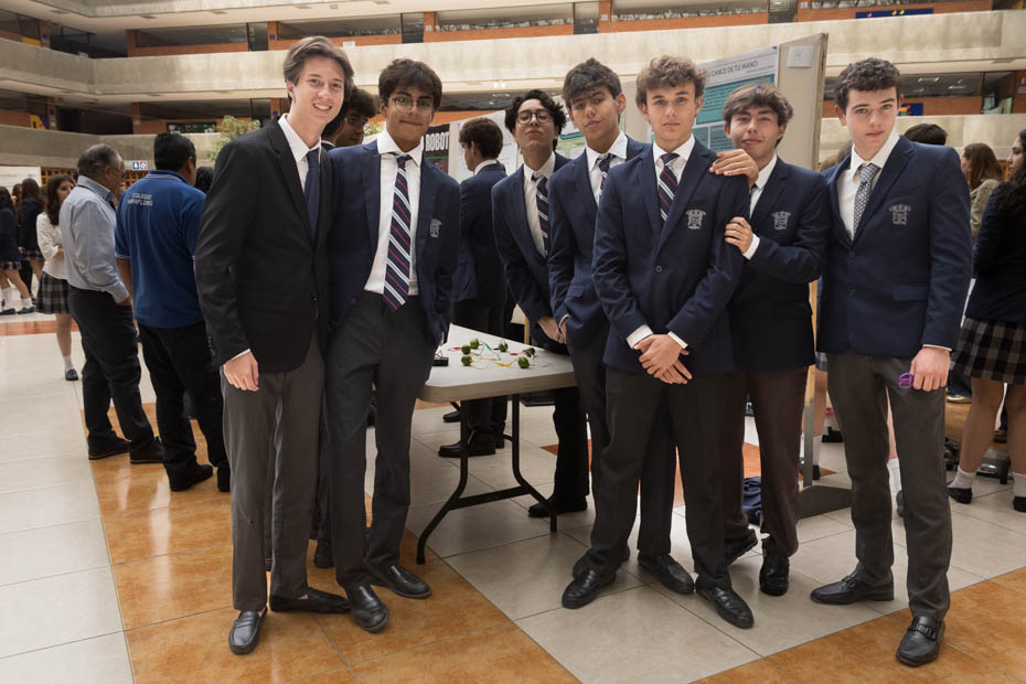 Ir a la Siguiente Foto