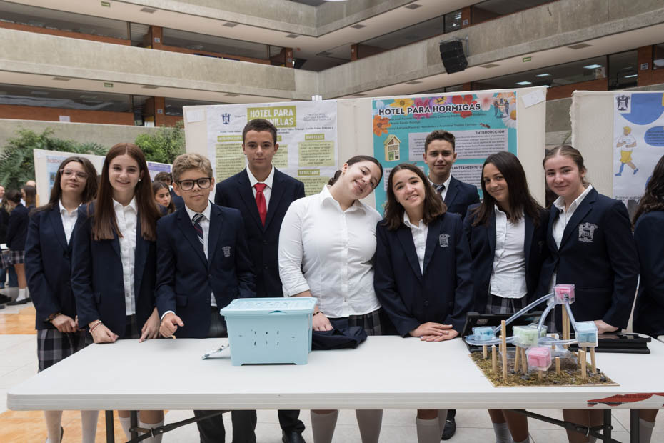 Ir a la Siguiente Foto