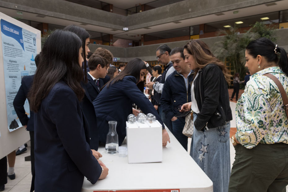 Ir a la Siguiente Foto