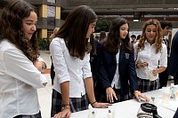 29052025stem_secundaria2025202.jpg