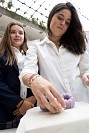 29052025stem_secundaria202534.jpg