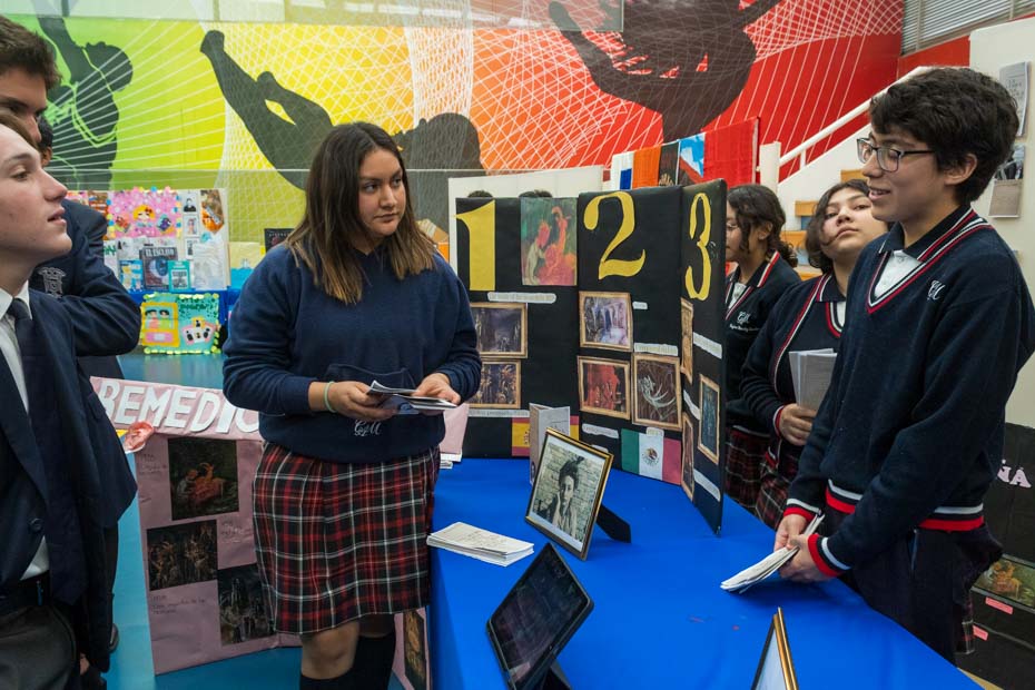 Ir a la Siguiente Foto