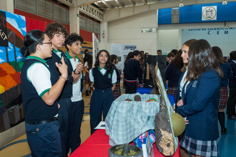 Ir a la Siguiente Foto