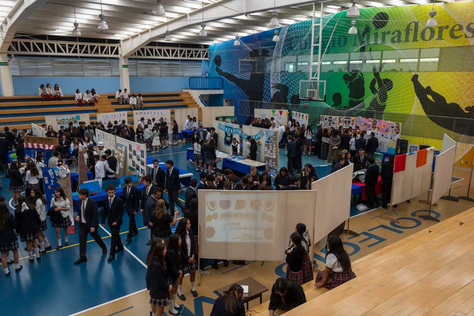 Ir a la Siguiente Foto