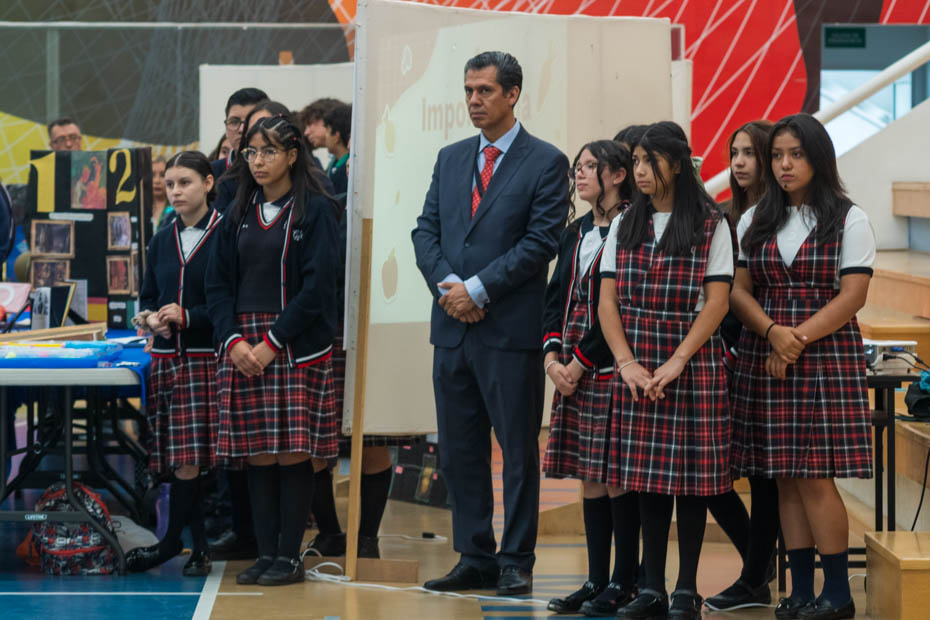 Ir a la Siguiente Foto