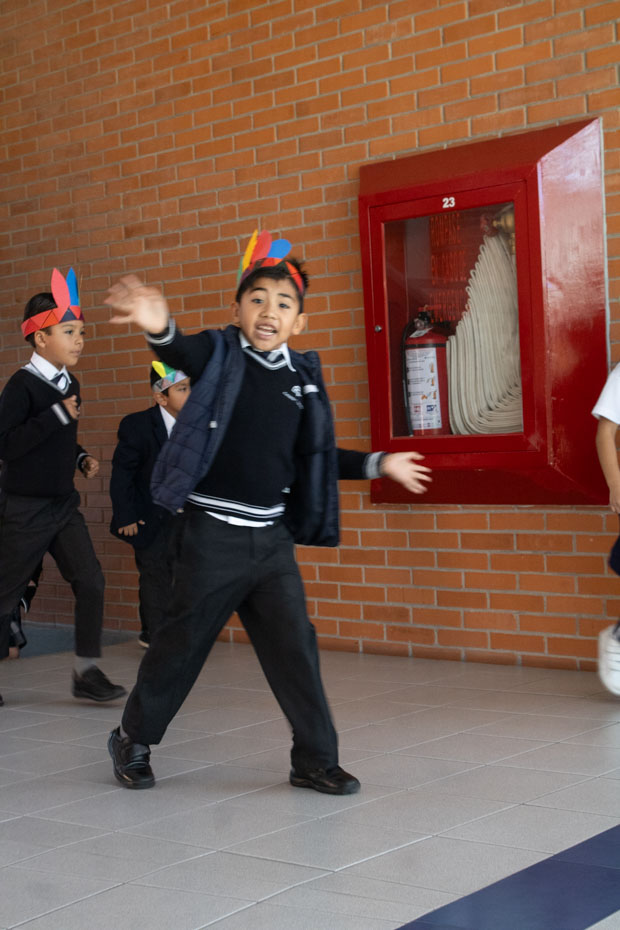 Ir a la Siguiente Foto