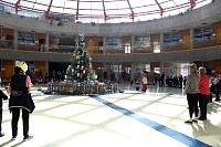 28112024thanks_giving2024230.jpg