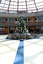 28112024thanks_giving2024231.jpg