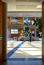 28112024thanks_giving2024287.jpg