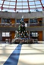 28112024thanks_giving2024288.jpg