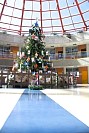 28112024thanks_giving2024298.jpg