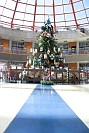 28112024thanks_giving2024299.jpg