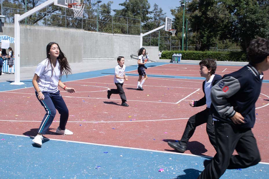 Ir a la Siguiente Foto